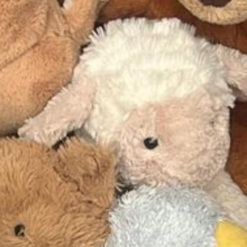 สมาชิกหมายเลข 7997390