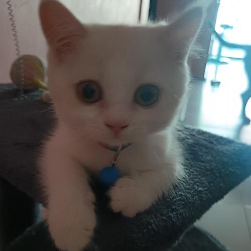 สมาชิกหมายเลข 2554612