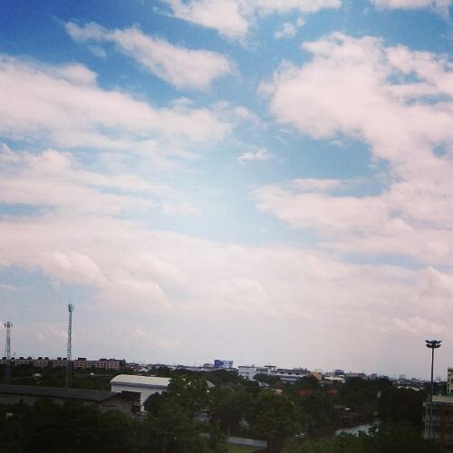 สมาชิกหมายเลข 4633141