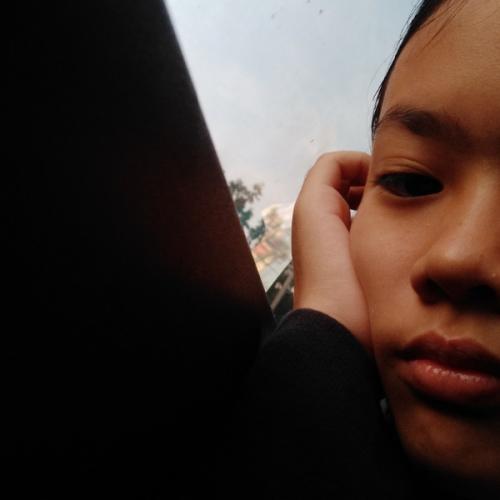 สมาชิกหมายเลข 4992211