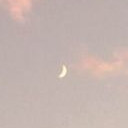 สมาชิกหมายเลข 4992228