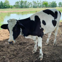 สมาชิกหมายเลข 4327960