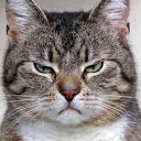 สมาชิกหมายเลข 5094085