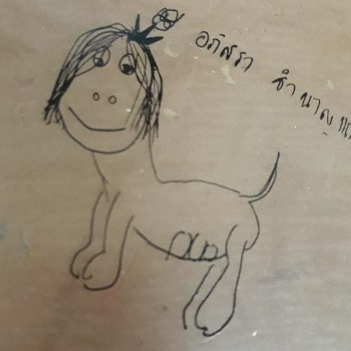 สมาชิกหมายเลข 5386420