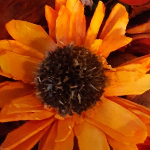 สมาชิกหมายเลข 4306641