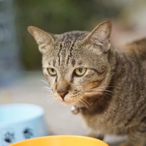 สมาชิกหมายเลข 5880912