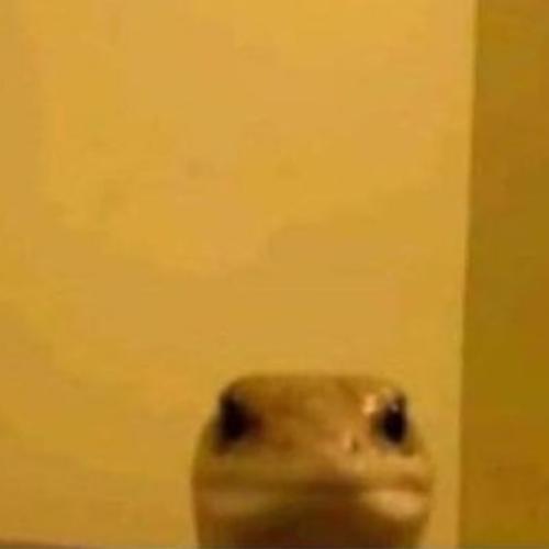 สมาชิกหมายเลข 5885018