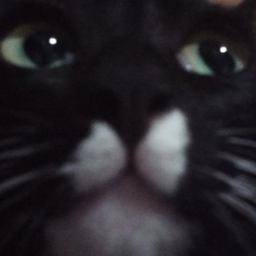 สมาชิกหมายเลข 5885340