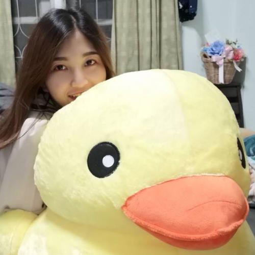 สมาชิกหมายเลข 5885597