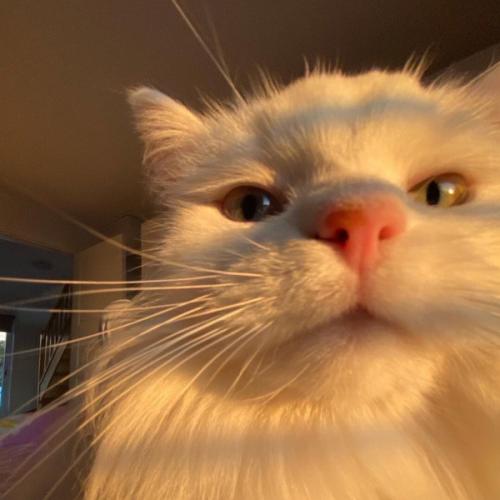 สมาชิกหมายเลข 3509823