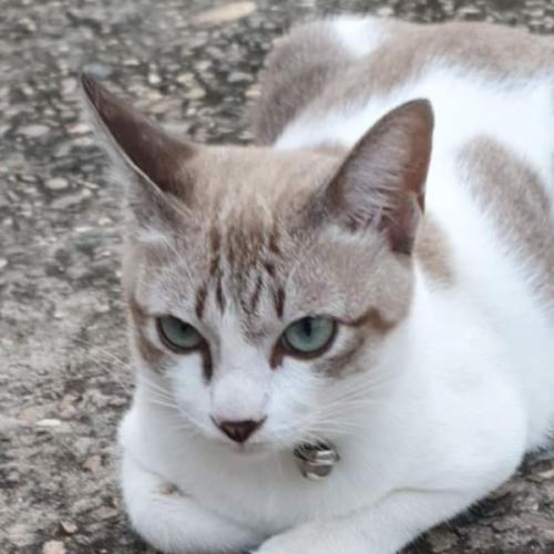 สมาชิกหมายเลข 6752196