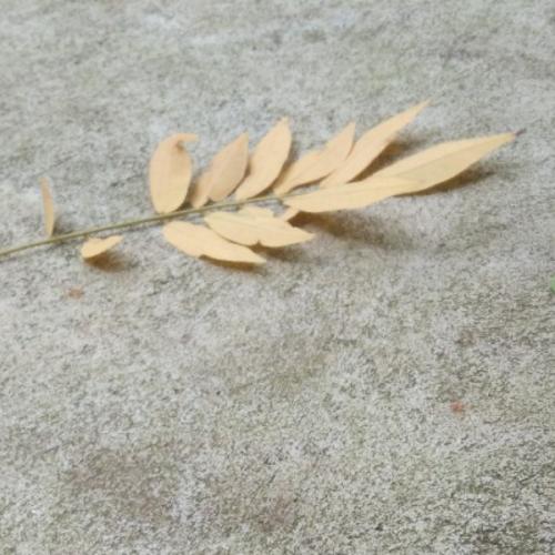 สมาชิกหมายเลข 7193540