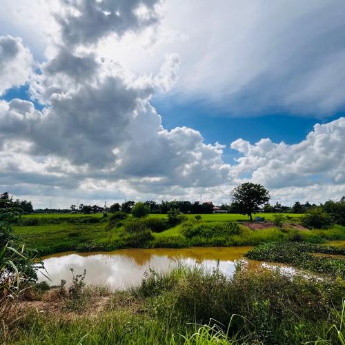 สมาชิกหมายเลข 5391154