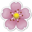 สมาชิกหมายเลข 3781653