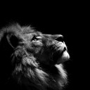 สมาชิกหมายเลข 3781698