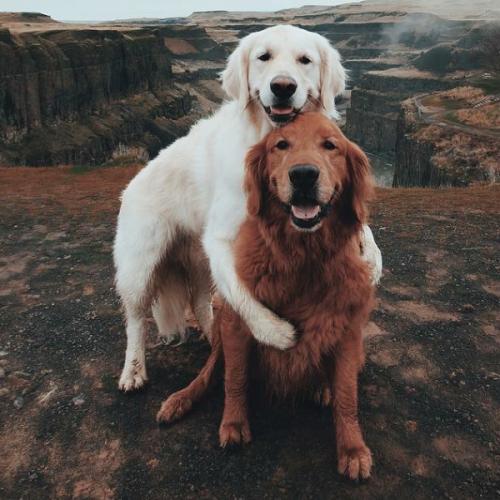 สมาชิกหมายเลข 2123665