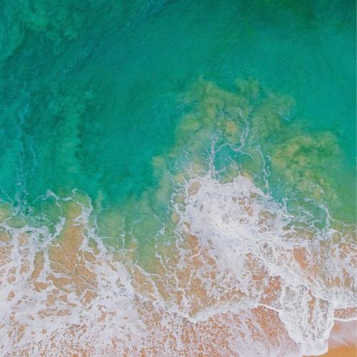 สมาชิกหมายเลข 3272514