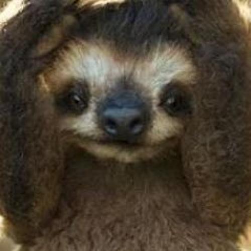 สมาชิกหมายเลข 3817469