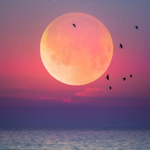 สมาชิกหมายเลข 5886163