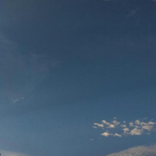 สมาชิกหมายเลข 4297577