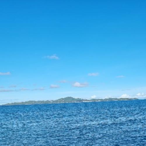 สมาชิกหมายเลข 7187221