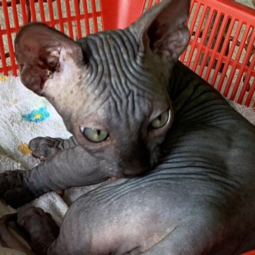 สมาชิกหมายเลข 7999140