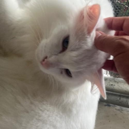 สมาชิกหมายเลข 8641421