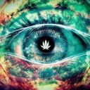 สมาชิกหมายเลข 3731405