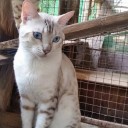 สมาชิกหมายเลข 3782242