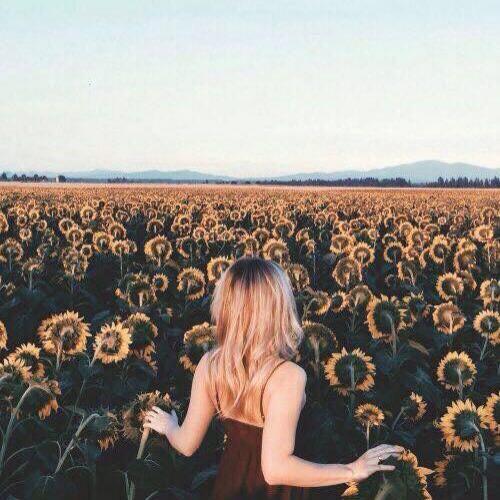 สมาชิกหมายเลข 4246010