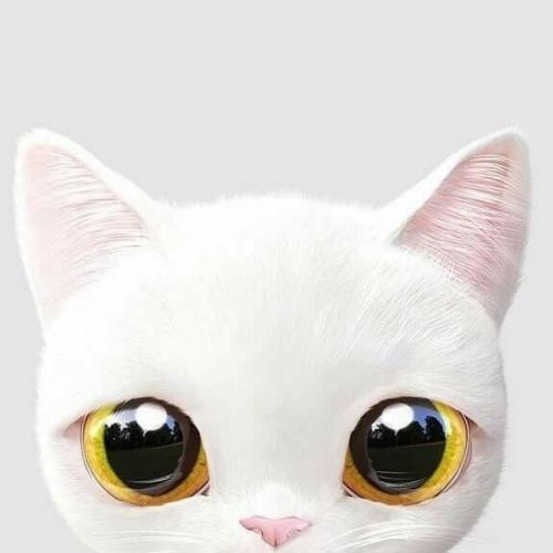 สมาชิกหมายเลข 4634060