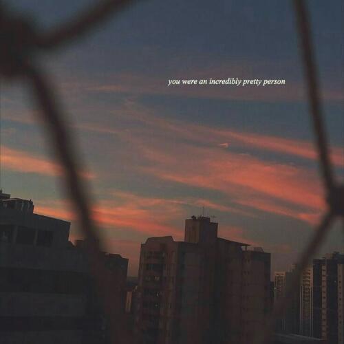 สมาชิกหมายเลข 5202416