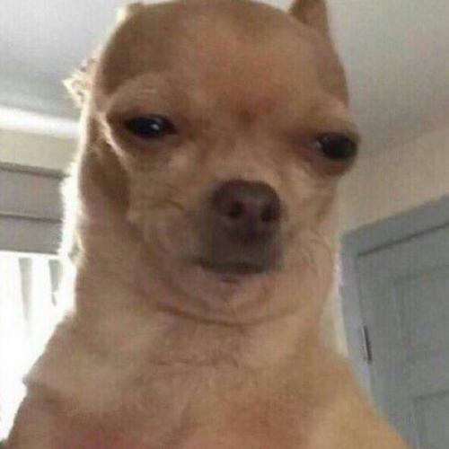 สมาชิกหมายเลข 5387059