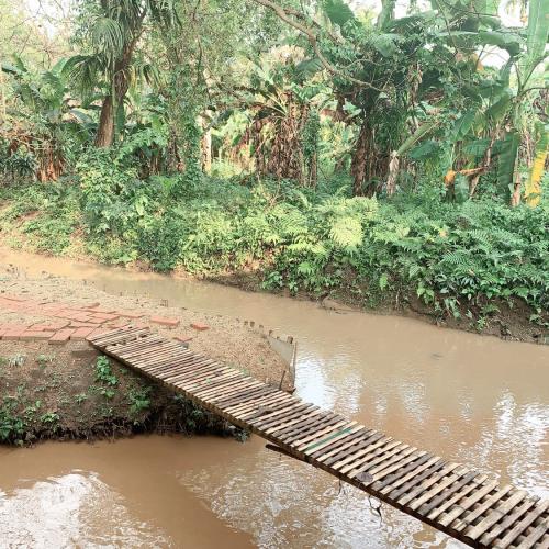 สมาชิกหมายเลข 5312257