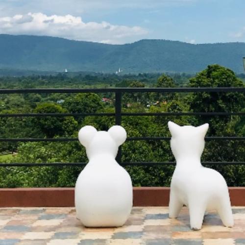 สมาชิกหมายเลข 5886464