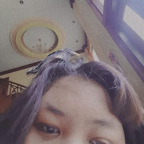 สมาชิกหมายเลข 5886595