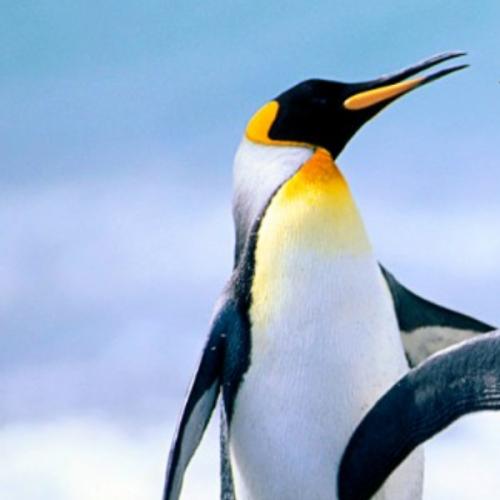 สมาชิกหมายเลข 5886960