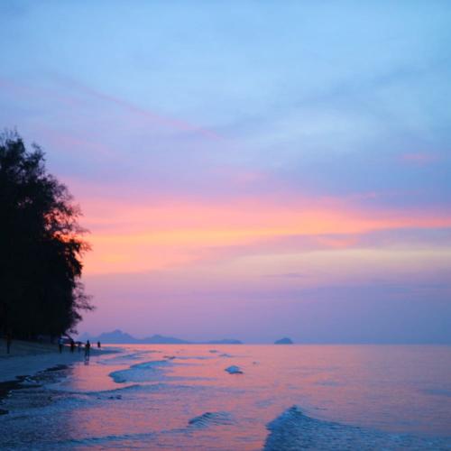 สมาชิกหมายเลข 5267158