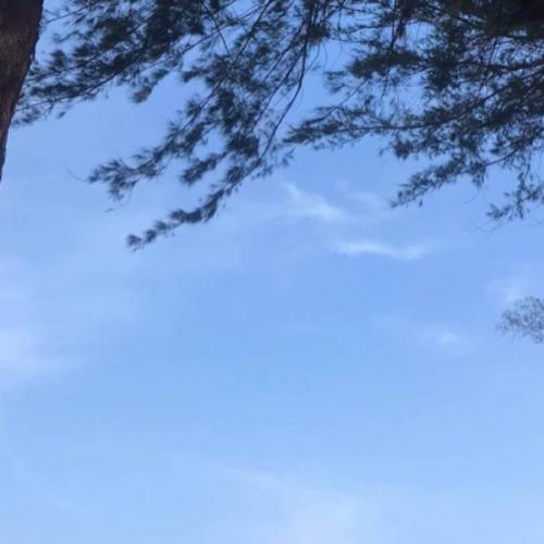 สมาชิกหมายเลข 5297879