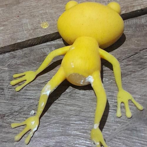 สมาชิกหมายเลข 7999961