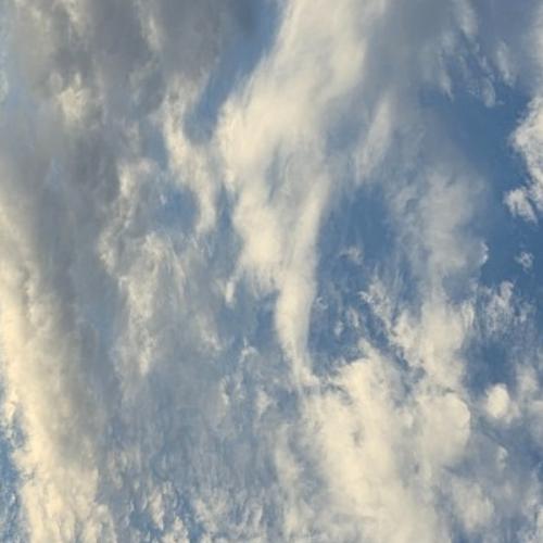 สมาชิกหมายเลข 7211624