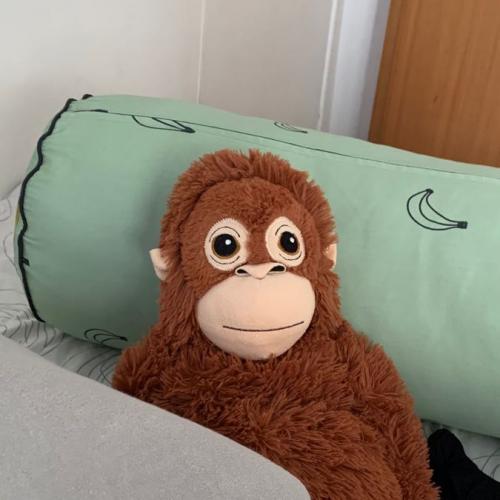 สมาชิกหมายเลข 7503680