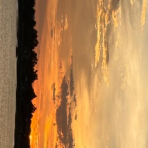 สมาชิกหมายเลข 8965537