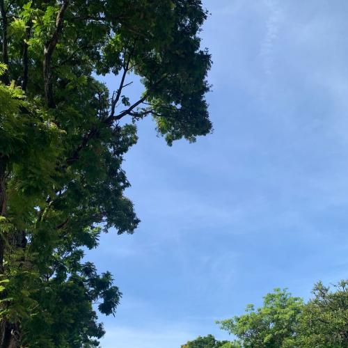 สมาชิกหมายเลข 9026869