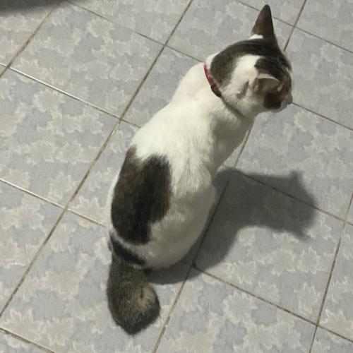 สมาชิกหมายเลข 9026872