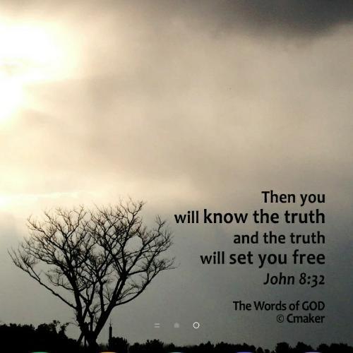 สมาชิกหมายเลข 4993510