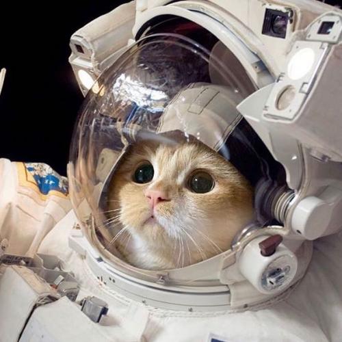 สมาชิกหมายเลข 5387284