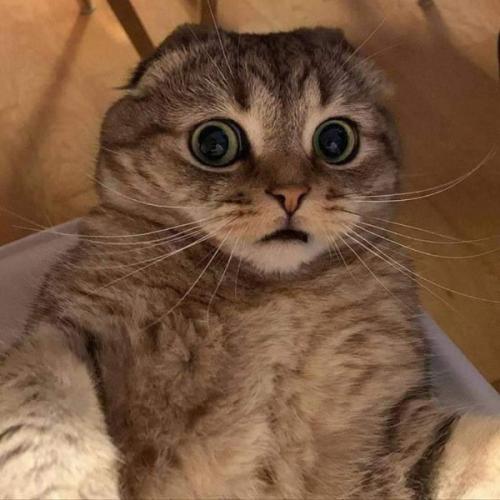 สมาชิกหมายเลข 5887503