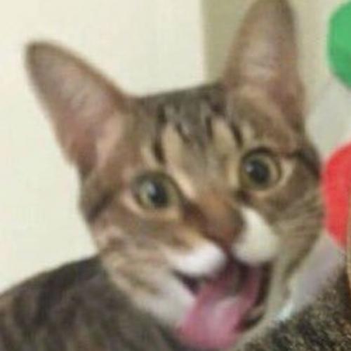 สมาชิกหมายเลข 5887520