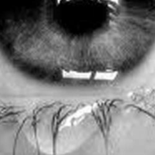 สมาชิกหมายเลข 5887546